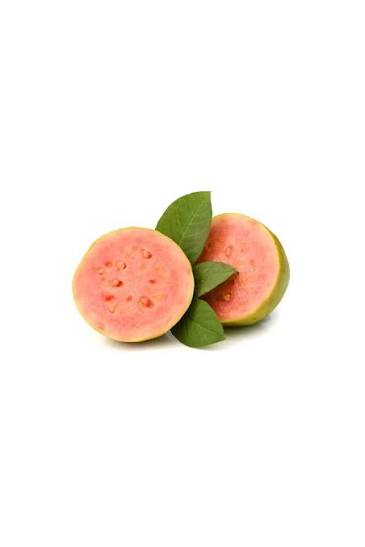 Guava